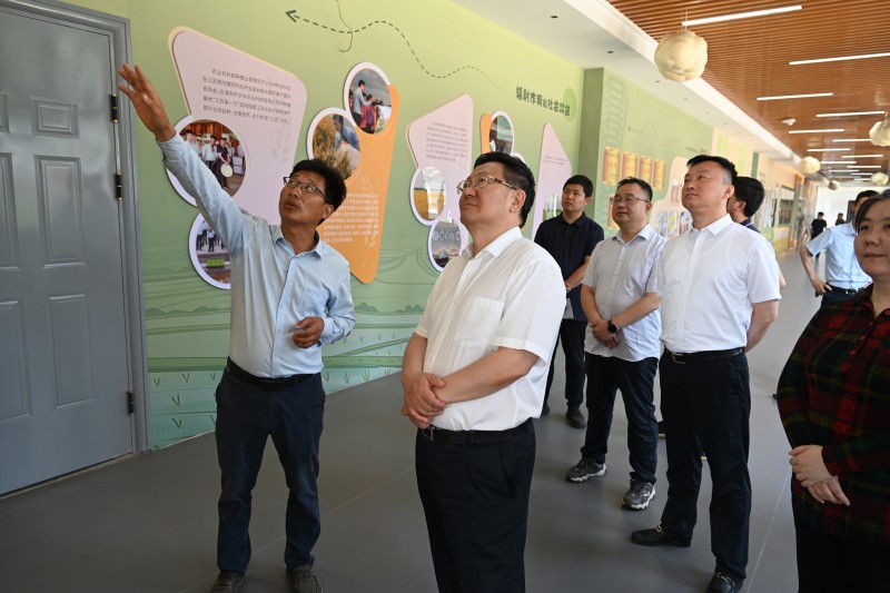 市人大常委会视察我市供销总社农业