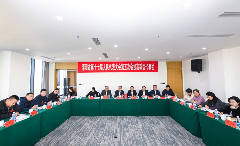 代表团分组审议